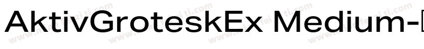 AktivGroteskEx Medium字体转换